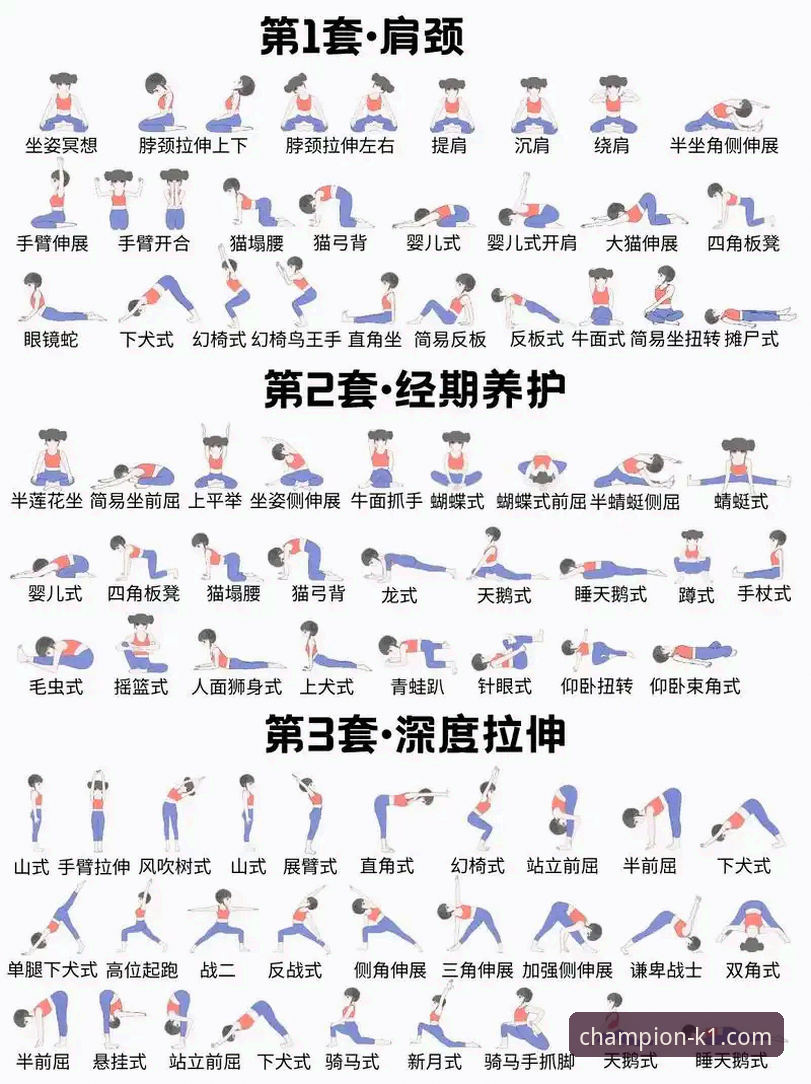 K1体育平台使用体验详解：从下载到实战全解析